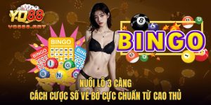 Nuôi Lô 3 Càng - Cách Cược Số Về Bờ Cực Chuẩn Từ Cao Thủ