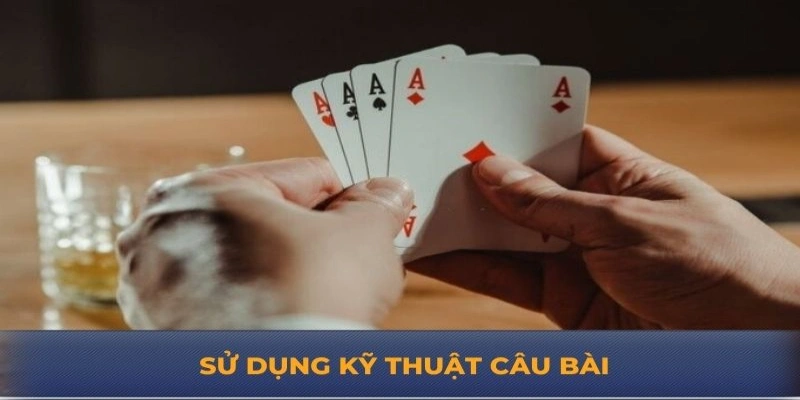 Sử dụng kỹ thuật câu bài